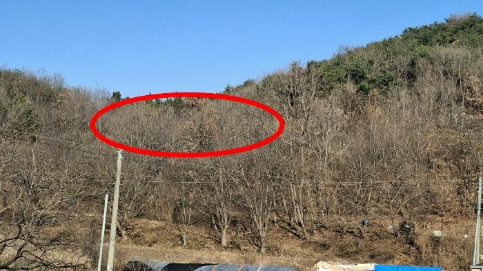 2024타경4907 법원경매 사진4 | 충남 당진시 전 경매