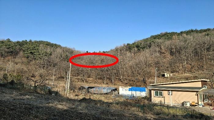 2024타경4907 법원경매 사진5 | 충남 당진시 전 경매