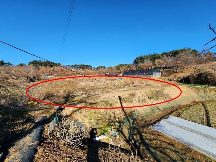 법원경매 2024타경5030 사진2 | 태안군 태안읍 장산리 568 답 경매