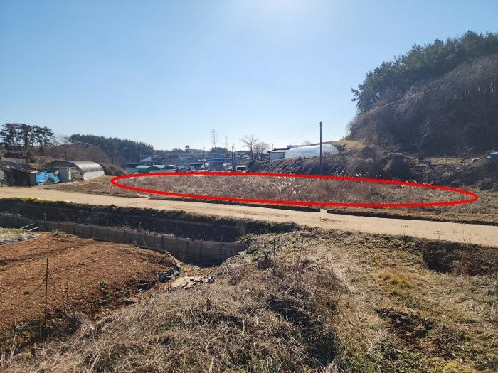 법원경매 2024타경5030 사진3 | 태안군 태안읍 장산리 568 답 경매