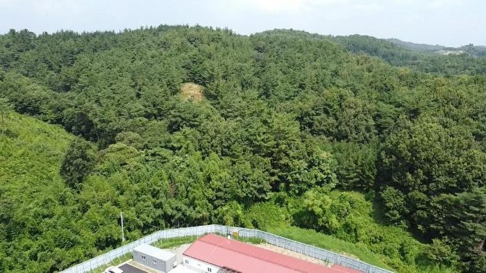 충청남도 당진시 대호지면 장정리 산60-5 법원경매 물건 대표사진