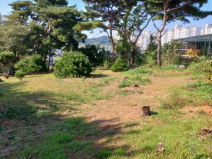 2024타경59372 법원경매 사진12 | 충남 당진시 임야 경매