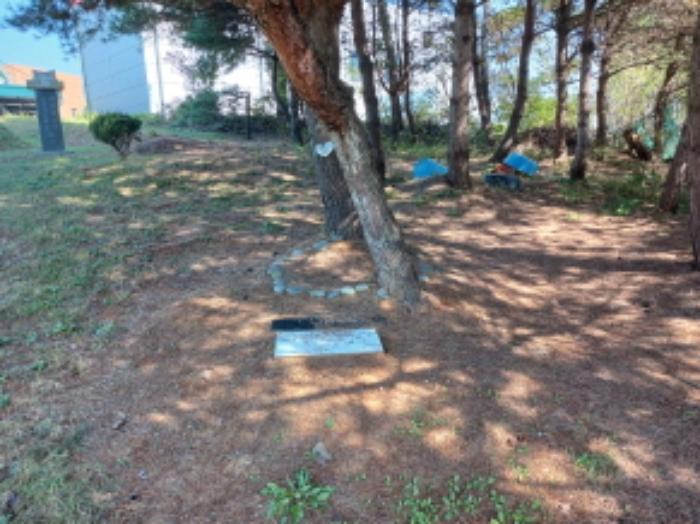 2024타경59372 법원경매 사진17 | 충남 당진시 임야 경매