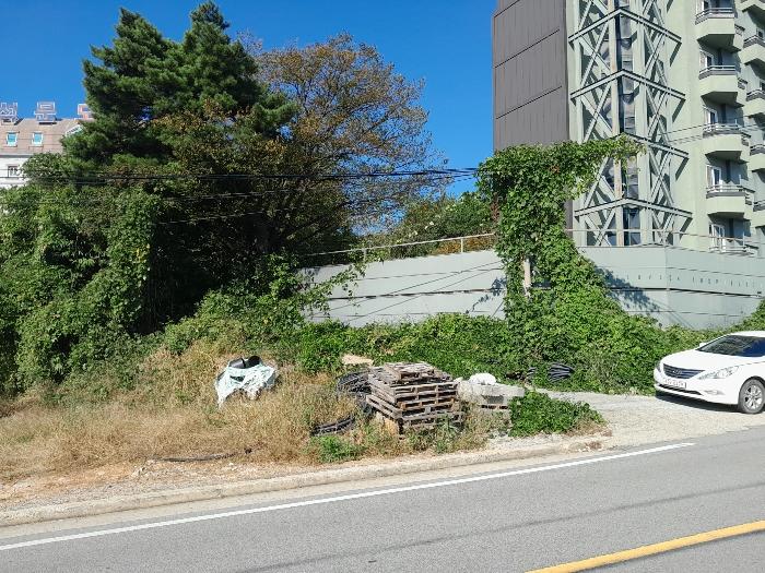 2024타경59372 법원경매 사진4 | 충남 당진시 임야 경매