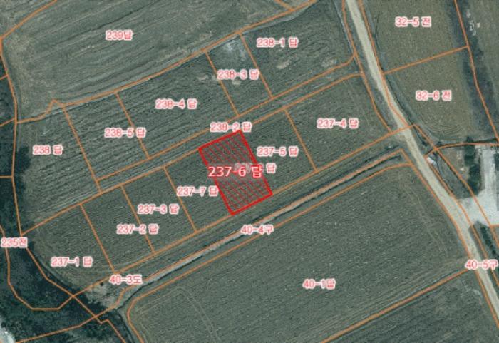 2024타경59976 법원경매 사진3 | 충남 당진시 답 경매