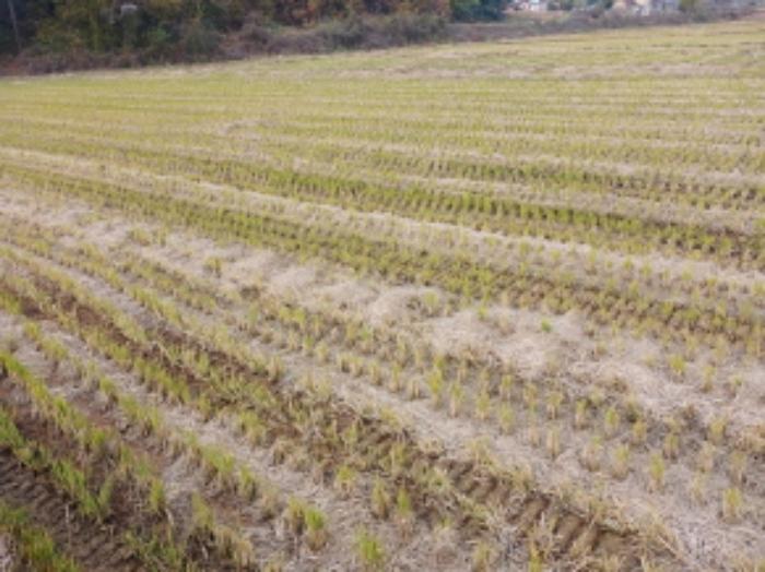 2024타경59976 법원경매 사진5 | 충남 당진시 답 경매