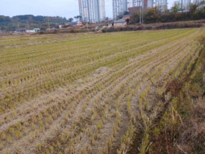 2024타경59976 법원경매 사진6 | 충남 당진시 답 경매