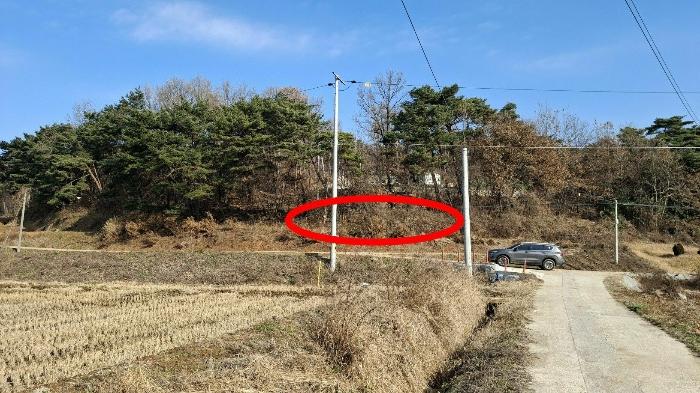 2024타경61115 법원경매 사진3 | 충남 당진시 임야 경매