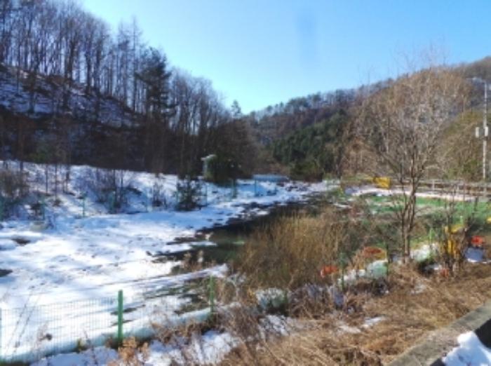 법원경매 2024타경2119 사진13 | 평창군 용평면 도사리 108-2 임야 경매