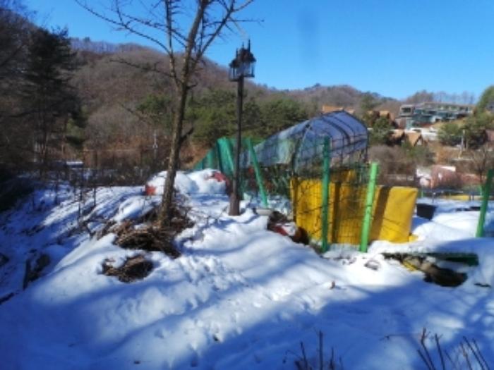 법원경매 2024타경2119 사진22 | 평창군 용평면 도사리 108-2 임야 경매
