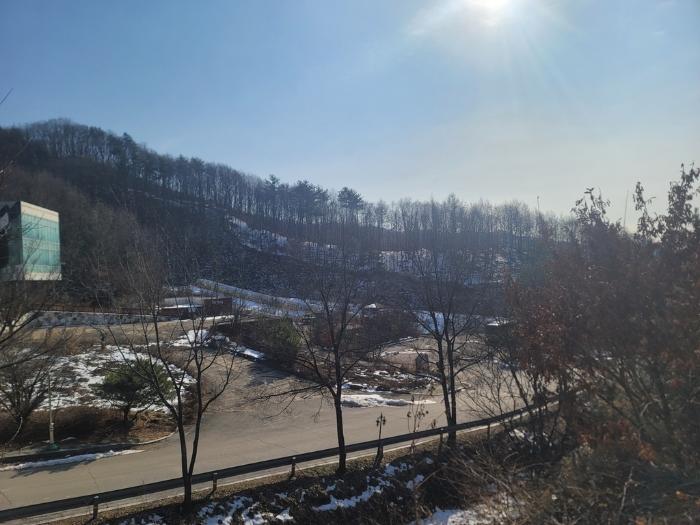 법원경매 2024타경2119 사진28 | 평창군 용평면 도사리 108-2 임야 경매