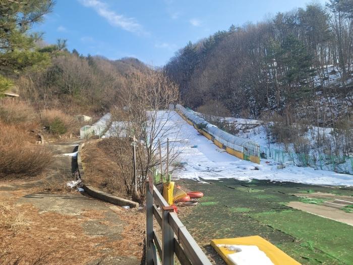 법원경매 2024타경2119 사진5 | 평창군 용평면 도사리 108-2 임야 경매