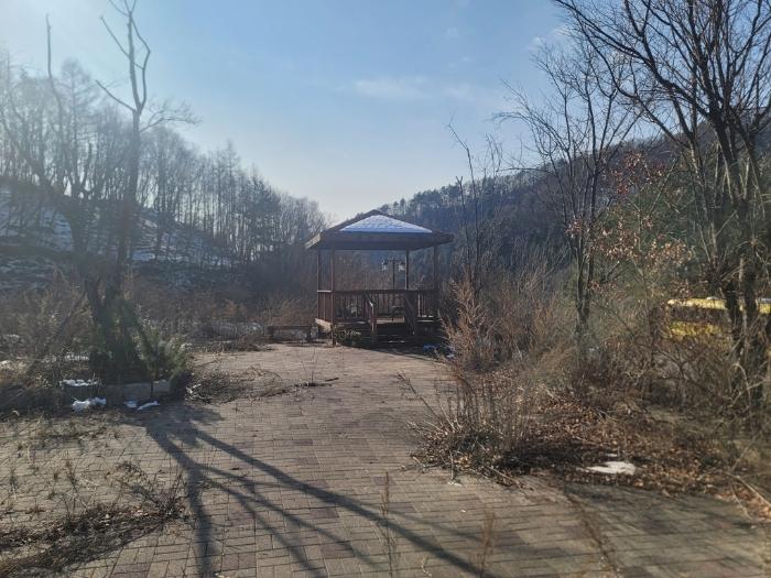 법원경매 2024타경2119 사진3 | 평창군 용평면 도사리 110 전 경매
