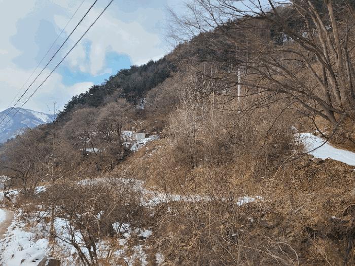 법원경매 2024타경2249 사진5 | 정선군 남면 유평리 200 전 경매