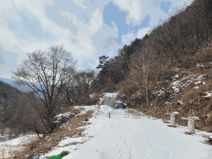법원경매 2024타경2249 사진8 | 정선군 남면 유평리 200 전 경매