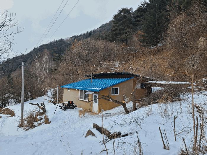 법원경매 2024타경2249 사진9 | 정선군 남면 유평리 200 전 경매