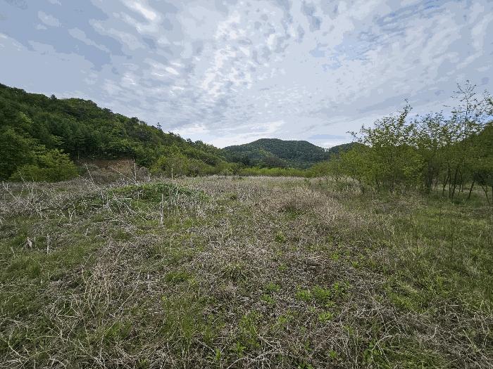 2025타경2859 법원경매 사진2 | 충남 금산군 임야 경매