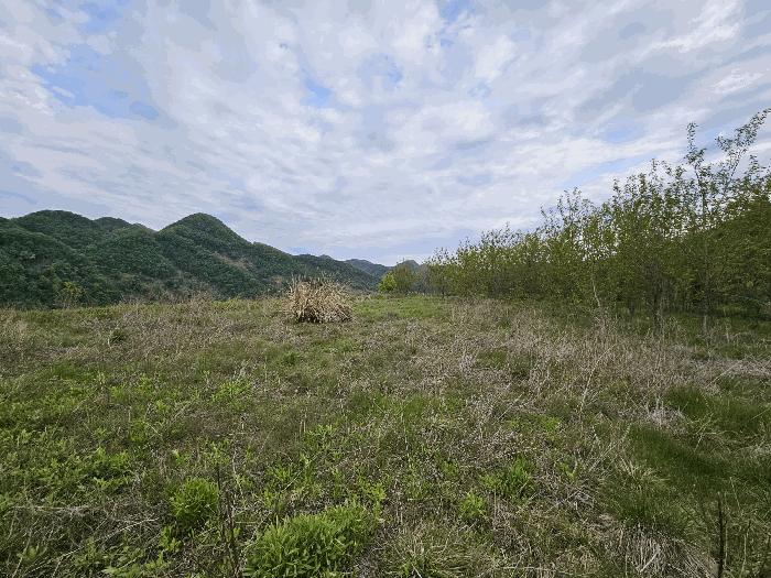 2025타경2859 법원경매 사진7 | 충남 금산군 임야 경매