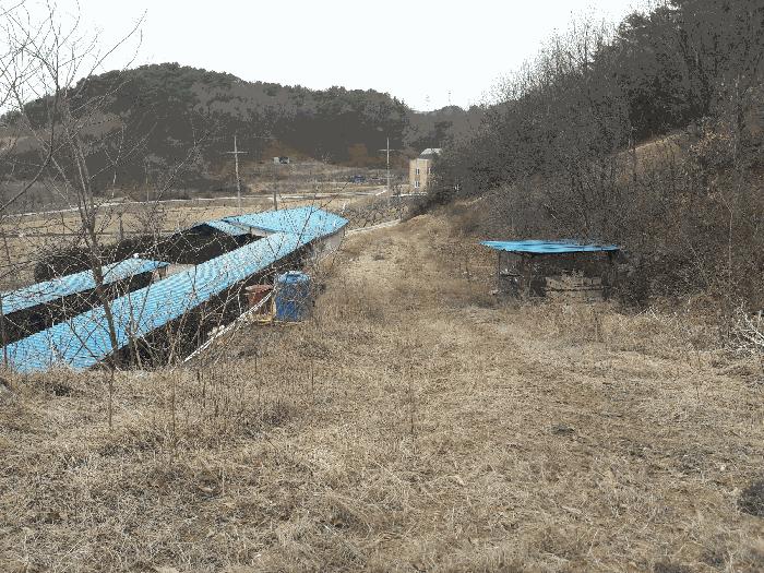 2025타경501792 법원경매 사진2 | 세종 연서면 임야 경매
