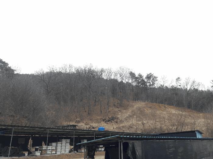 2025타경501792 법원경매 사진3 | 세종 연서면 임야 경매