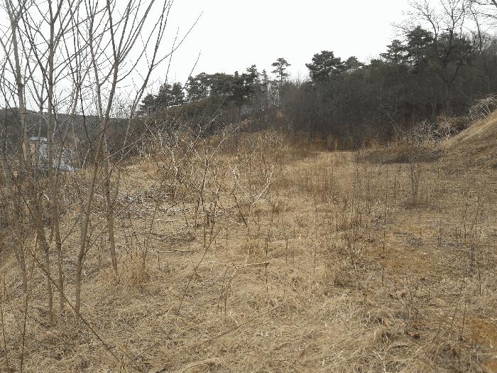 2025타경501792 법원경매 사진7 | 세종 연서면 임야 경매