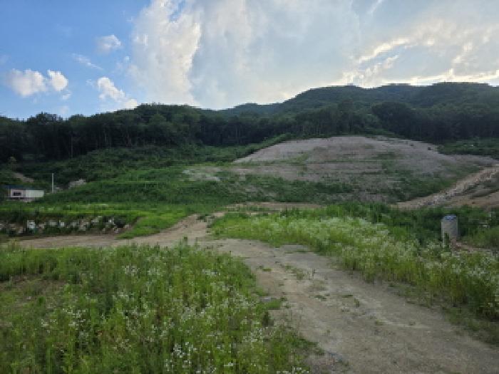법원경매 2025타경31245 사진7 | 성주군 금수강산면 임야 경매