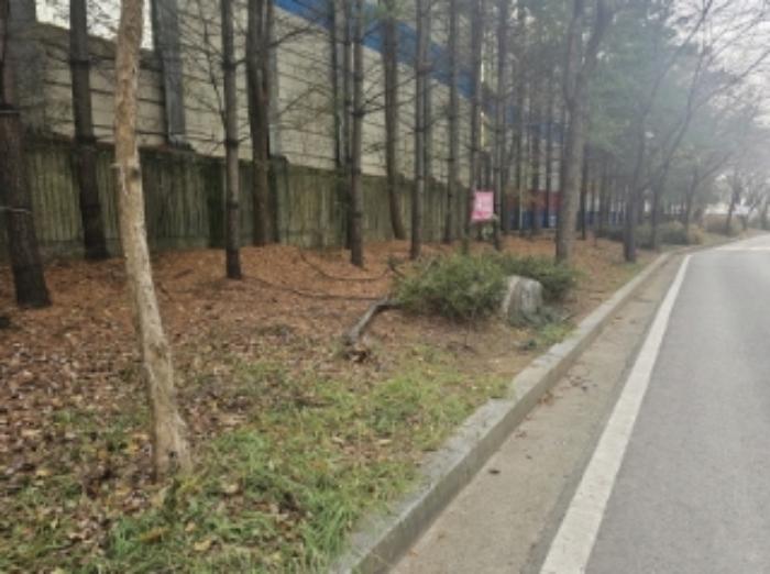 2024타경6228 법원경매 사진8 | 천안 동남구 공장용지 경매