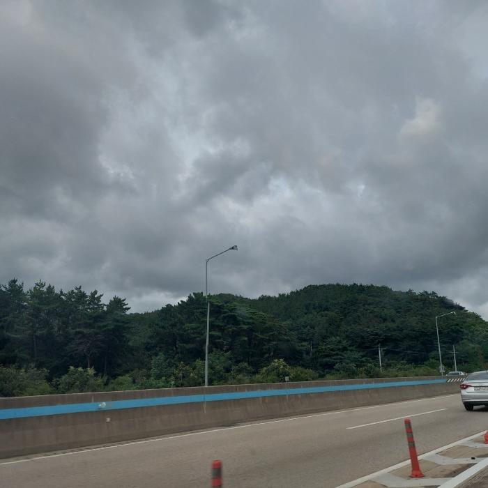 법원경매 2024타경4376 사진3 | 부산 금정구 선동 임야 경매