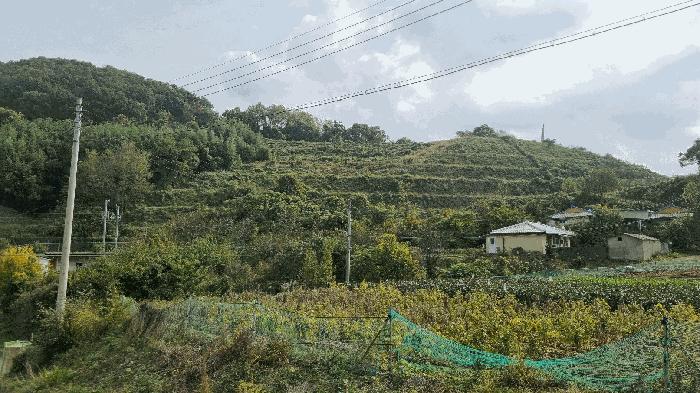 2024타경7068 법원경매 사진3 | 경남 김해시 임야 경매