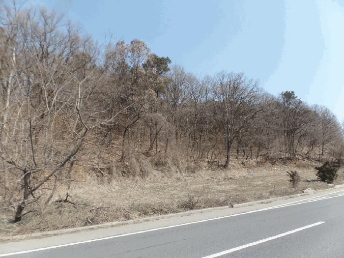 법원경매 2025타경62641 사진3 | 파주시 문산읍 당동리 488 전 경매