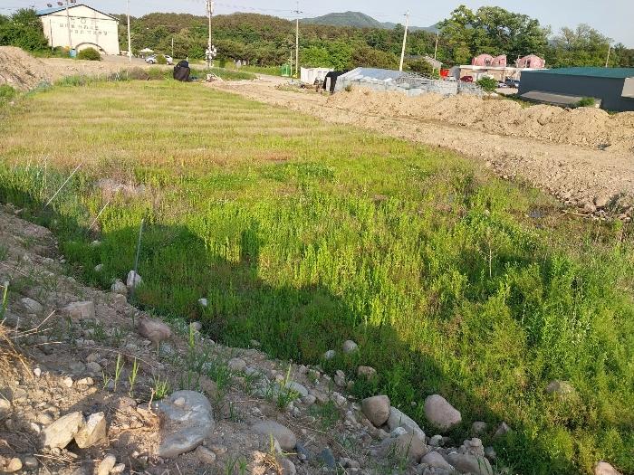 법원경매 2024타경34458 사진4 | 양평군 용문면 금곡리 140-7 답 경매
