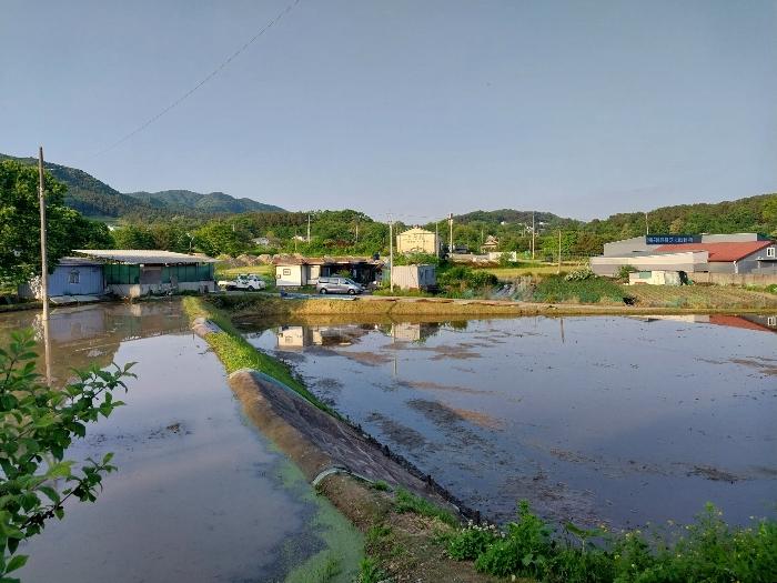 법원경매 2024타경34458 사진5 | 양평군 용문면 금곡리 140-7 답 경매