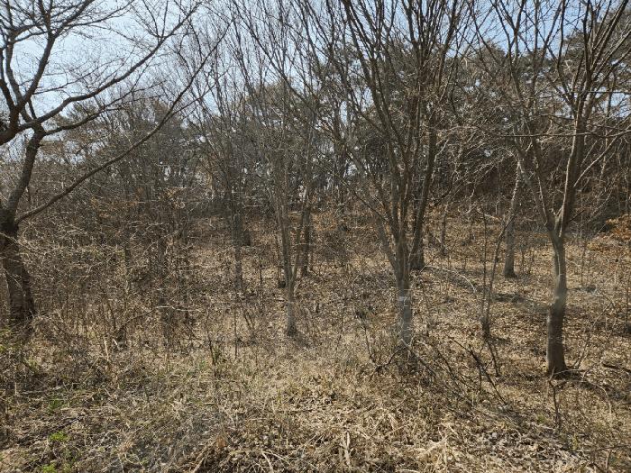 2025타경32222 법원경매 사진7 | 전남 나주시 임야 경매