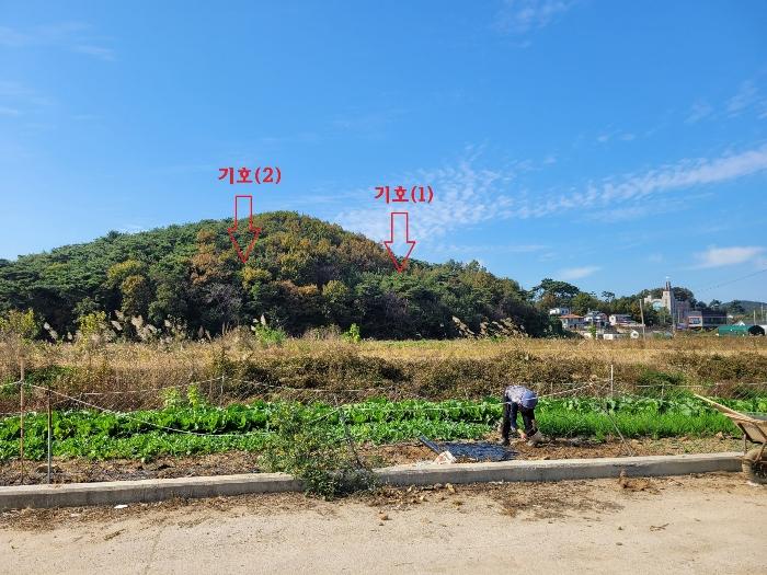 법원경매 2024타경4653 사진3 | 안산시 단원구 대부동동 임야 경매