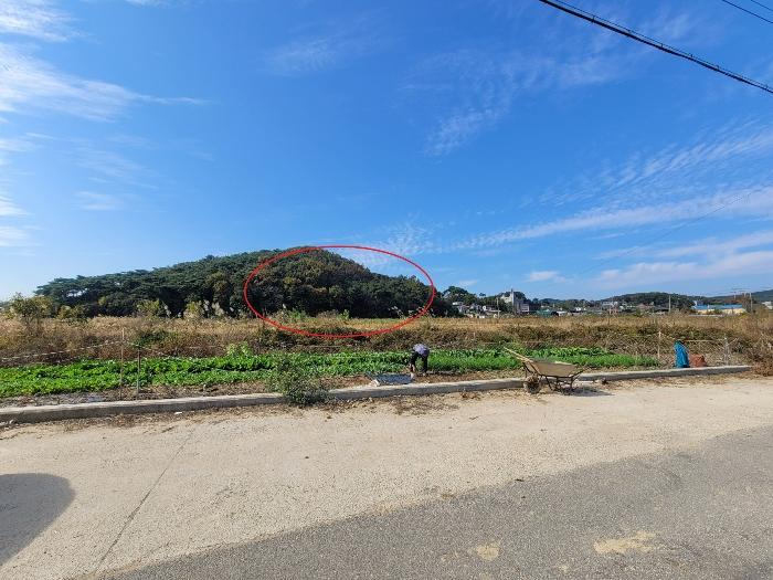 법원경매 2024타경4653 사진4 | 안산시 단원구 대부동동 임야 경매