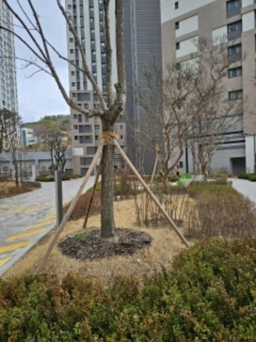 법원경매 2024타경725 사진9 | 부산 동래구 온천동 1407-9 근린시설 경매