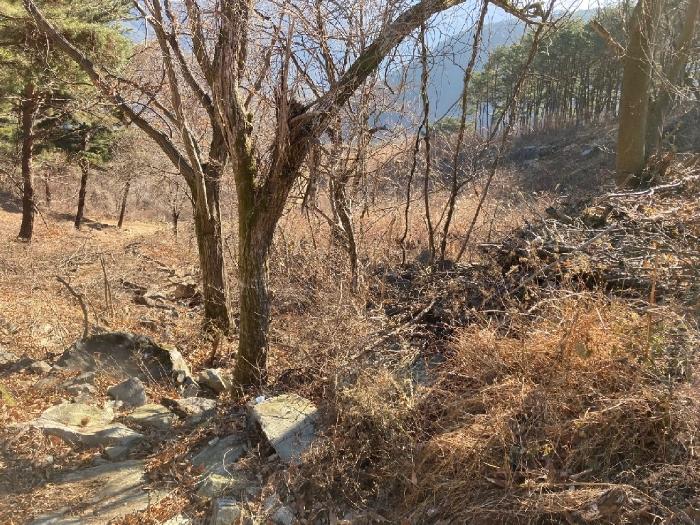 2024타경3370 법원경매 사진5 | 경남 함안군 과수원 경매