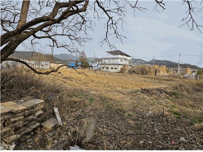 법원경매 2025타경7474 사진3 | 칠곡군 왜관읍 삼청리 321-1 답 경매