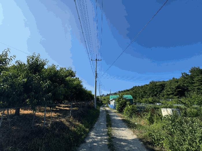 법원경매 2025타경7573 사진2 | 영천시 청통면 애련리 3-1 과수원 경매