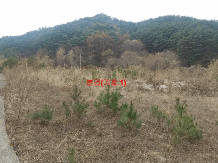 2025타경10165 법원경매 사진2 | 경남 거창군 임야 경매