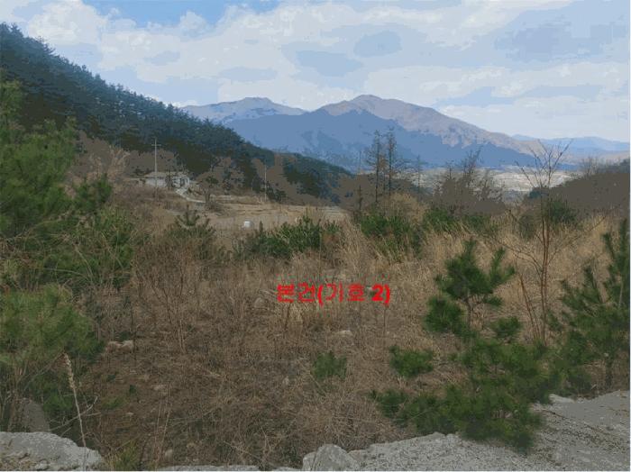 2025타경10165 법원경매 사진3 | 경남 거창군 임야 경매