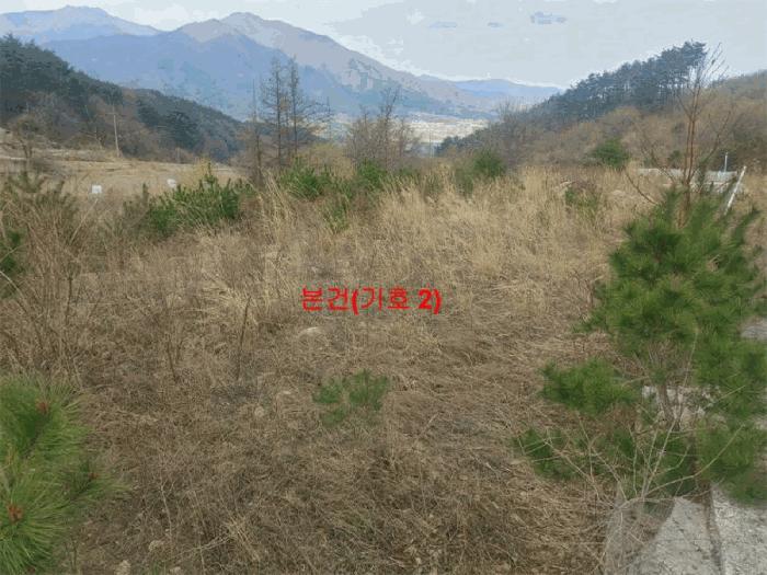 2025타경10165 법원경매 사진4 | 경남 거창군 임야 경매