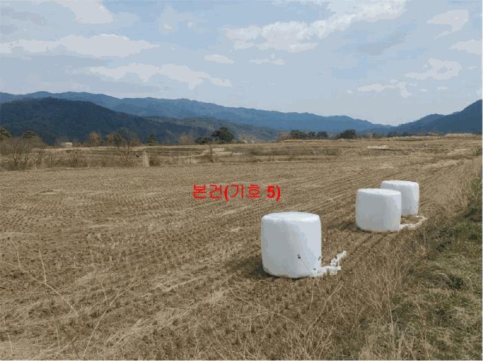 2025타경10185 법원경매 사진5 | 경남 거창군 답 경매