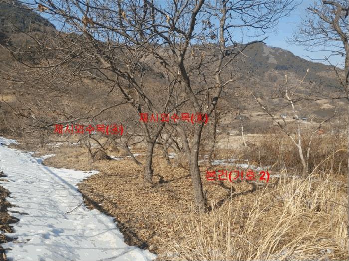 2025타경103 법원경매 사진3 | 경남 함양군 전 경매