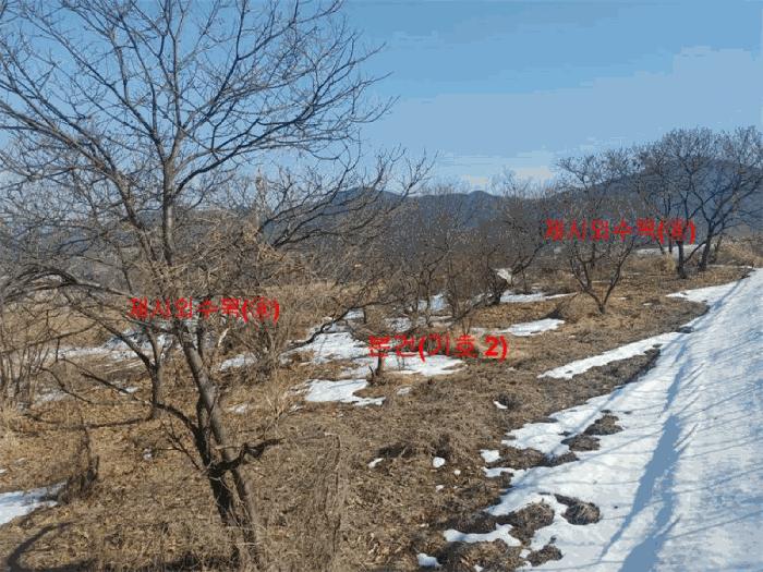 2025타경103 법원경매 사진7 | 경남 함양군 전 경매