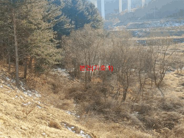 경남 합천군 가야면 청현리 523-2 답 사진 2