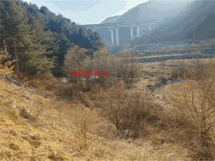 2025타경10100 법원경매 사진3 | 경남 합천군 답 경매