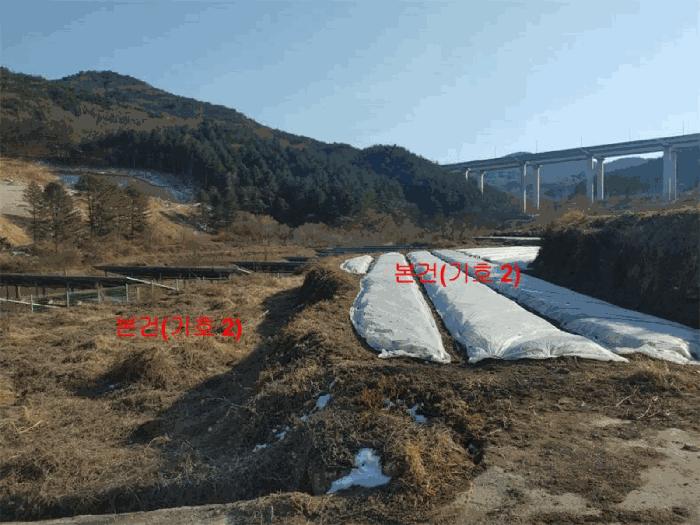 2025타경10100 법원경매 사진4 | 경남 합천군 답 경매