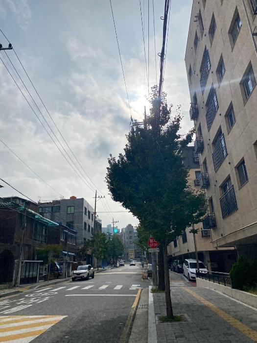 2024타경137274 법원경매 사진5 | 서울 영등포구 근린상가 경매