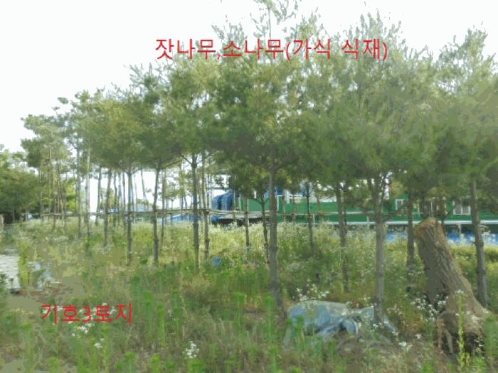 2024타경1763 법원경매 사진3 | 충북 음성군 답 경매